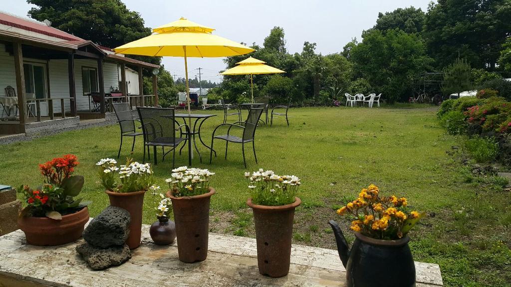 Joseph Tree Guest House Jeju Exterior photo