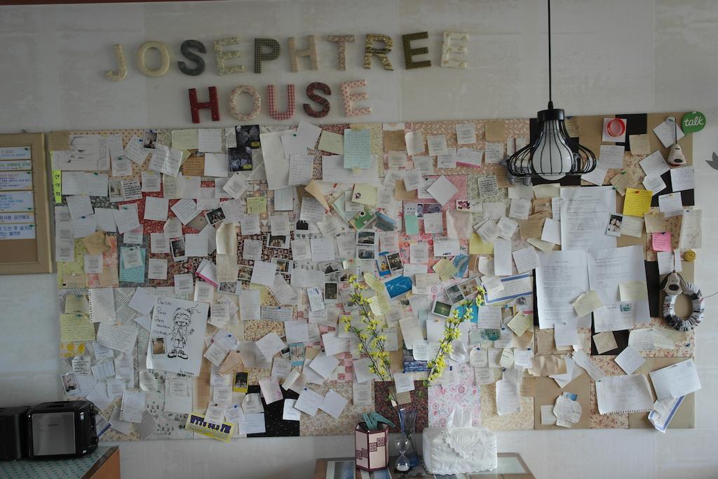 Joseph Tree Guest House Jeju Exterior photo